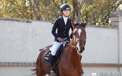 夜帝你女人又闯祸了 小说